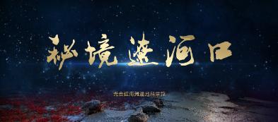 探索面粉可以放置一晚上发酵吗?的知识星球,解锁无限学习之旅